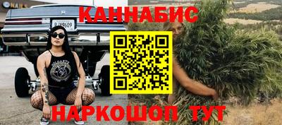 шишки Бузулук