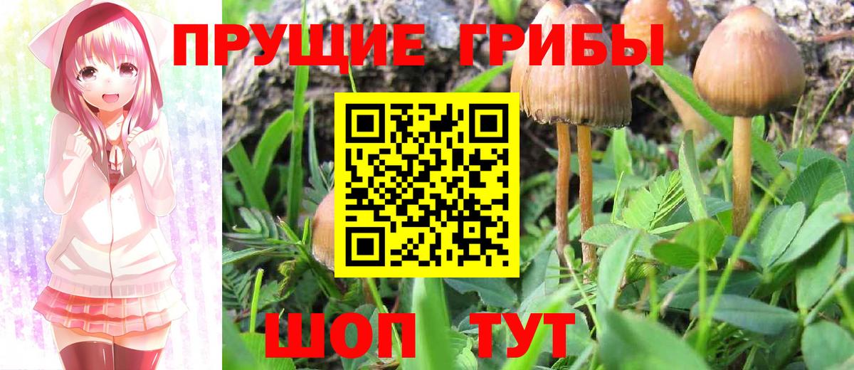Псилоцибиновые грибы MAGIC MUSHROOMS  Псилоцибиновые грибы ЛСД  Смоленск  Вход с VPN 